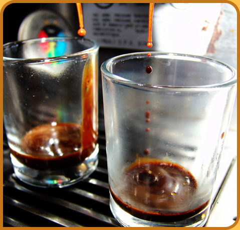 Espresso Shots